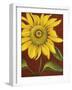 Sunflower-John Zaccheo-Framed Premium Giclee Print