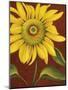 Sunflower-John Zaccheo-Mounted Premium Giclee Print