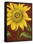 Sunflower-John Zaccheo-Framed Stretched Canvas