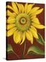 Sunflower-John Zaccheo-Stretched Canvas