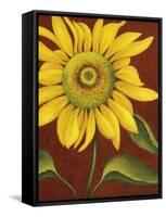 Sunflower-John Zaccheo-Framed Stretched Canvas