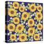 Sunflower-Maria Trad-Stretched Canvas