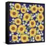 Sunflower-Maria Trad-Framed Stretched Canvas