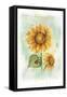 Sunflower-Maria Trad-Framed Stretched Canvas