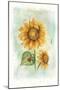 Sunflower-Maria Trad-Mounted Giclee Print