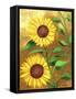Sunflower-Cheryl Bartley-Framed Stretched Canvas