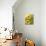 Sunflower-Cheryl Bartley-Giclee Print displayed on a wall