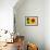 Sunflower-Ursula Abresch-Framed Photographic Print displayed on a wall