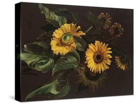 Sunflowers, 1839 (Oil on Canvas)-Louis-Apollinaire Sicard-Stretched Canvas