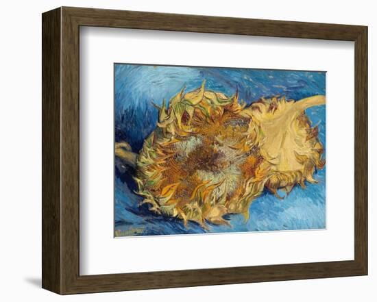 Sunflowers, 1887-Vincent Van Gogh-Framed Art Print