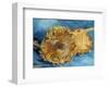 Sunflowers, 1887-Vincent Van Gogh-Framed Art Print