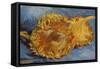Sunflowers, 1887-Vincent van Gogh-Framed Stretched Canvas