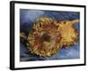 Sunflowers, 1887-Vincent van Gogh-Framed Giclee Print