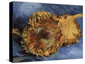 Sunflowers, 1887-Vincent van Gogh-Stretched Canvas