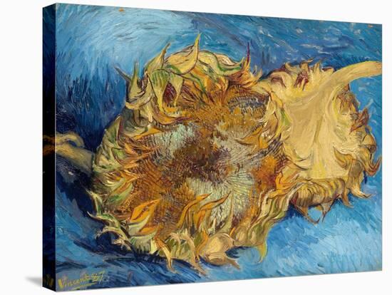 Sunflowers, 1887-Vincent van Gogh-Stretched Canvas