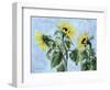 Sunflowers, 1996-Cristiana Angelini-Framed Giclee Print