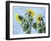 Sunflowers, 1996-Cristiana Angelini-Framed Giclee Print