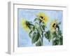 Sunflowers, 1996-Cristiana Angelini-Framed Giclee Print