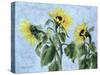 Sunflowers, 1996-Cristiana Angelini-Stretched Canvas