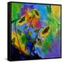 Sunflowers 7741-Pol Ledent-Framed Stretched Canvas