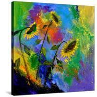 Sunflowers 7741-Pol Ledent-Stretched Canvas