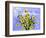 Sunflowers A-Ata Alishahi-Framed Giclee Print