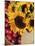 Sunflowers and Apples, the Hamptons, Long Island, New York State, USA-Robert Harding-Mounted Photographic Print