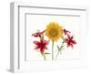 Sunflowers and lilies against white background-Panoramic Images-Framed Photographic Print