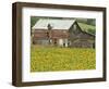 Sunflowers and Old Barn, near Oamaru, North Otago, South Island, New Zealand-David Wall-Framed Photographic Print