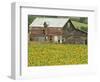 Sunflowers and Old Barn, near Oamaru, North Otago, South Island, New Zealand-David Wall-Framed Photographic Print