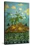 Sunflowers and Poppies-Paul Ranson-Stretched Canvas