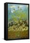 Sunflowers and Poppies-Paul Ranson-Framed Stretched Canvas