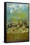 Sunflowers and Poppies-Paul Ranson-Framed Stretched Canvas