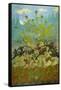 Sunflowers and Poppies-Paul Ranson-Framed Stretched Canvas