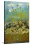 Sunflowers and Poppies-Paul Ranson-Stretched Canvas