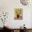 Sunflowers and Satsumas-Lorraine Platt-Giclee Print displayed on a wall