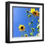 Sunflowers and Sky-Lisa Hill Saghini-Framed Art Print