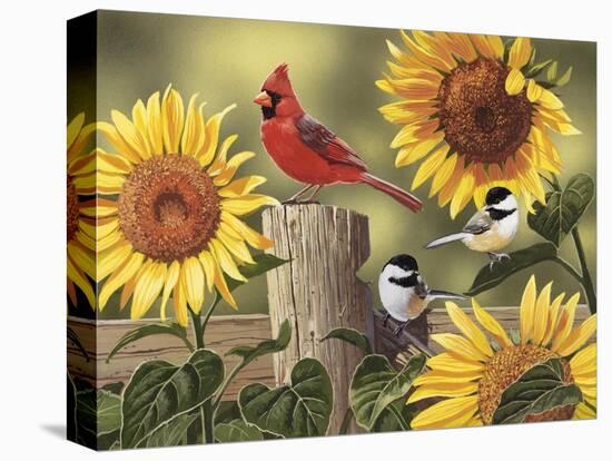 Sunflowers and Songbirds-William Vanderdasson-Stretched Canvas