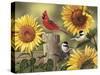 Sunflowers and Songbirds-William Vanderdasson-Stretched Canvas