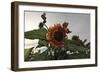 Sunflowers and Storm-Amanda Lee Smith-Framed Photographic Print