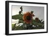 Sunflowers and Storm-Amanda Lee Smith-Framed Photographic Print