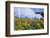 Sunflowers and the Humid Tropics Biome, the Eden Project, Near St. Austell, Cornwall, England-Jenny Pate-Framed Premium Photographic Print