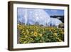 Sunflowers and the Humid Tropics Biome, the Eden Project, Near St. Austell, Cornwall, England-Jenny Pate-Framed Photographic Print