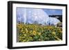 Sunflowers and the Humid Tropics Biome, the Eden Project, Near St. Austell, Cornwall, England-Jenny Pate-Framed Photographic Print