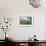 Sunflowers and the Humid Tropics Biome, the Eden Project, Near St. Austell, Cornwall, England-Jenny Pate-Framed Photographic Print displayed on a wall