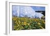 Sunflowers and the Humid Tropics Biome, the Eden Project, Near St. Austell, Cornwall, England-Jenny Pate-Framed Photographic Print