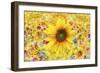 Sunflowers Are Beautiful-Ata Alishahi-Framed Giclee Print