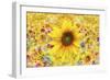 Sunflowers Are Beautiful-Ata Alishahi-Framed Giclee Print