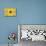 Sunflowers Are Beautiful-Ata Alishahi-Mounted Giclee Print displayed on a wall