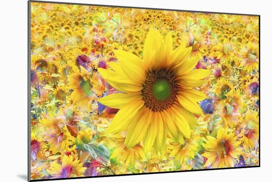 Sunflowers Are Beautiful-Ata Alishahi-Mounted Giclee Print